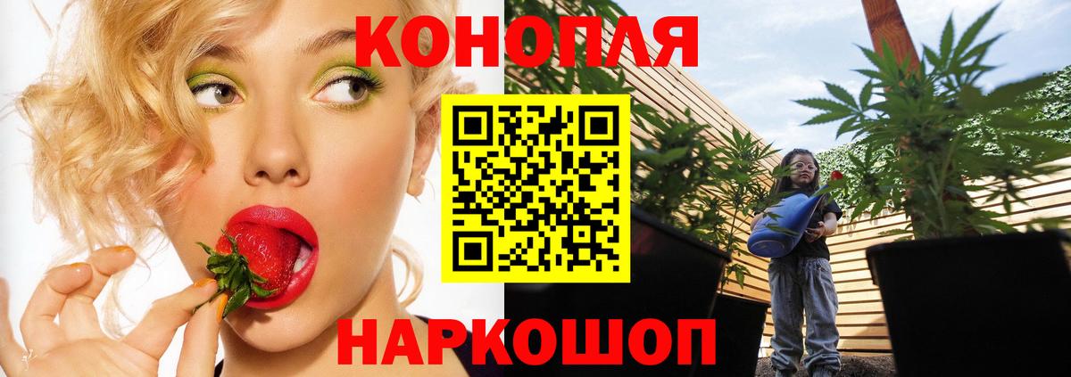 Гашиш  Codein  Купить наркотик  Братск  ЭКСТАЗИ  Alpha-PVP СОЛЬ   LSD-25  Вход с VPN  Гашиш  Кокаин  Конопля  Мефедрон кристаллы 